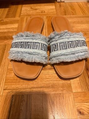 Aldo Light Blue Frayed Embroidered Slide Sandals